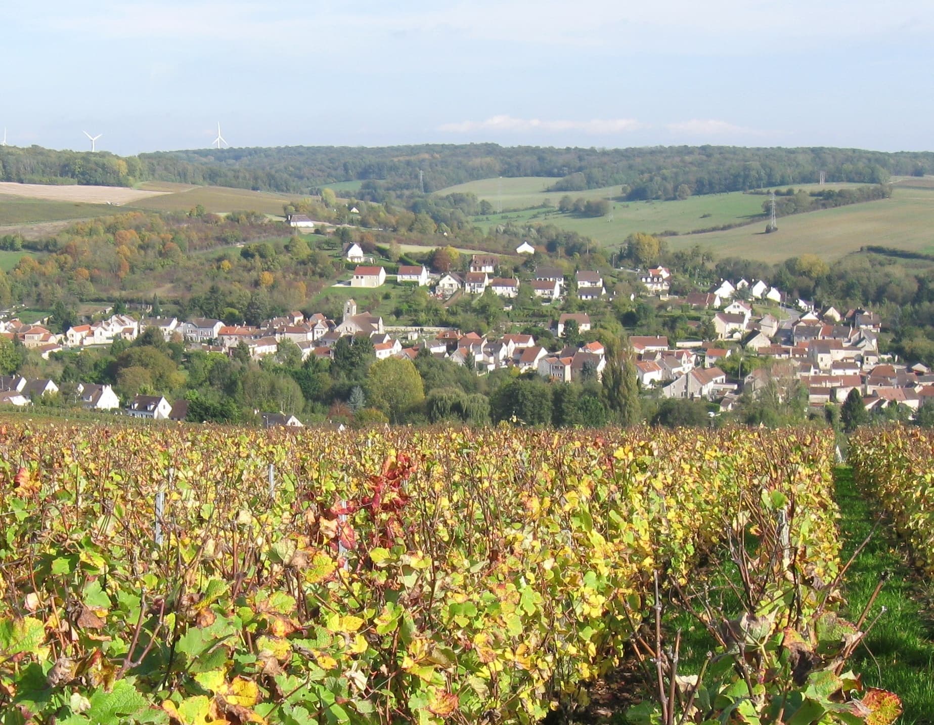 Vue de Villiers-Saint-Denis